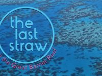 Last Straw on the Great Barrier Reef