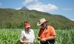 Episode 18: Fiona Barron Talks About Paddock to Reef