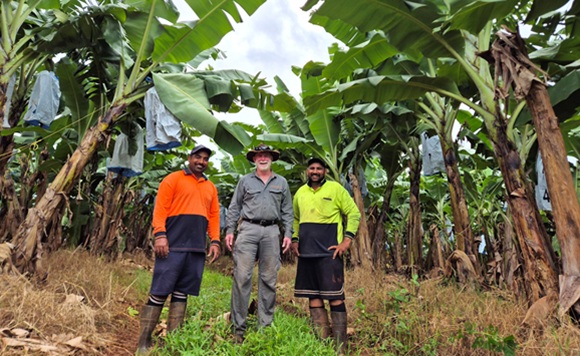 banana farmers loving the land